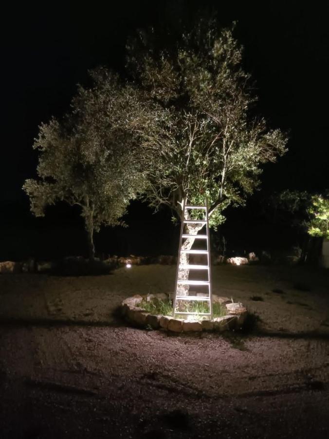 Casa Loredana Putignano Εξωτερικό φωτογραφία