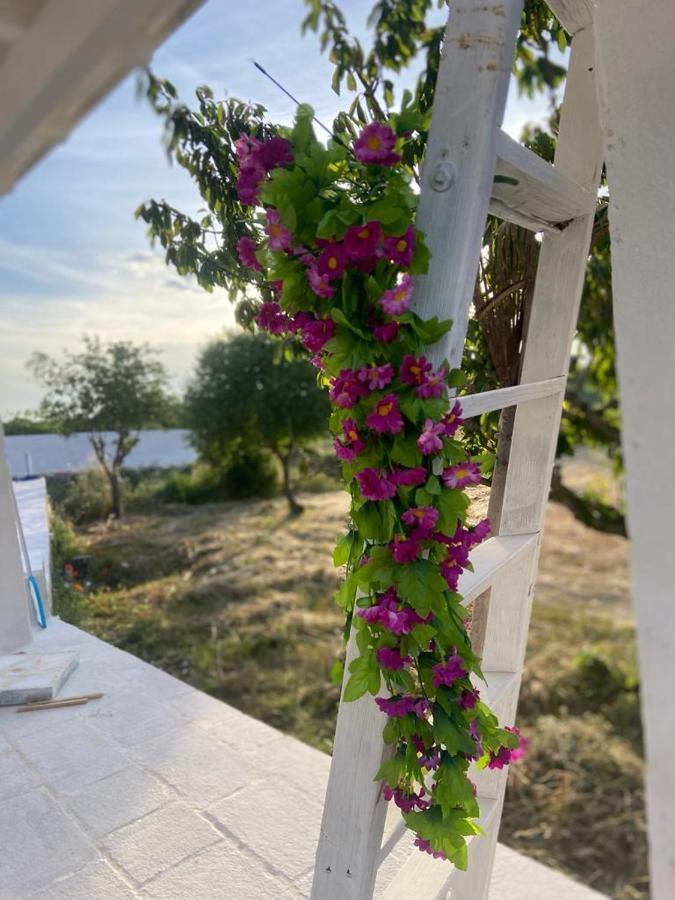 Casa Loredana Putignano Εξωτερικό φωτογραφία