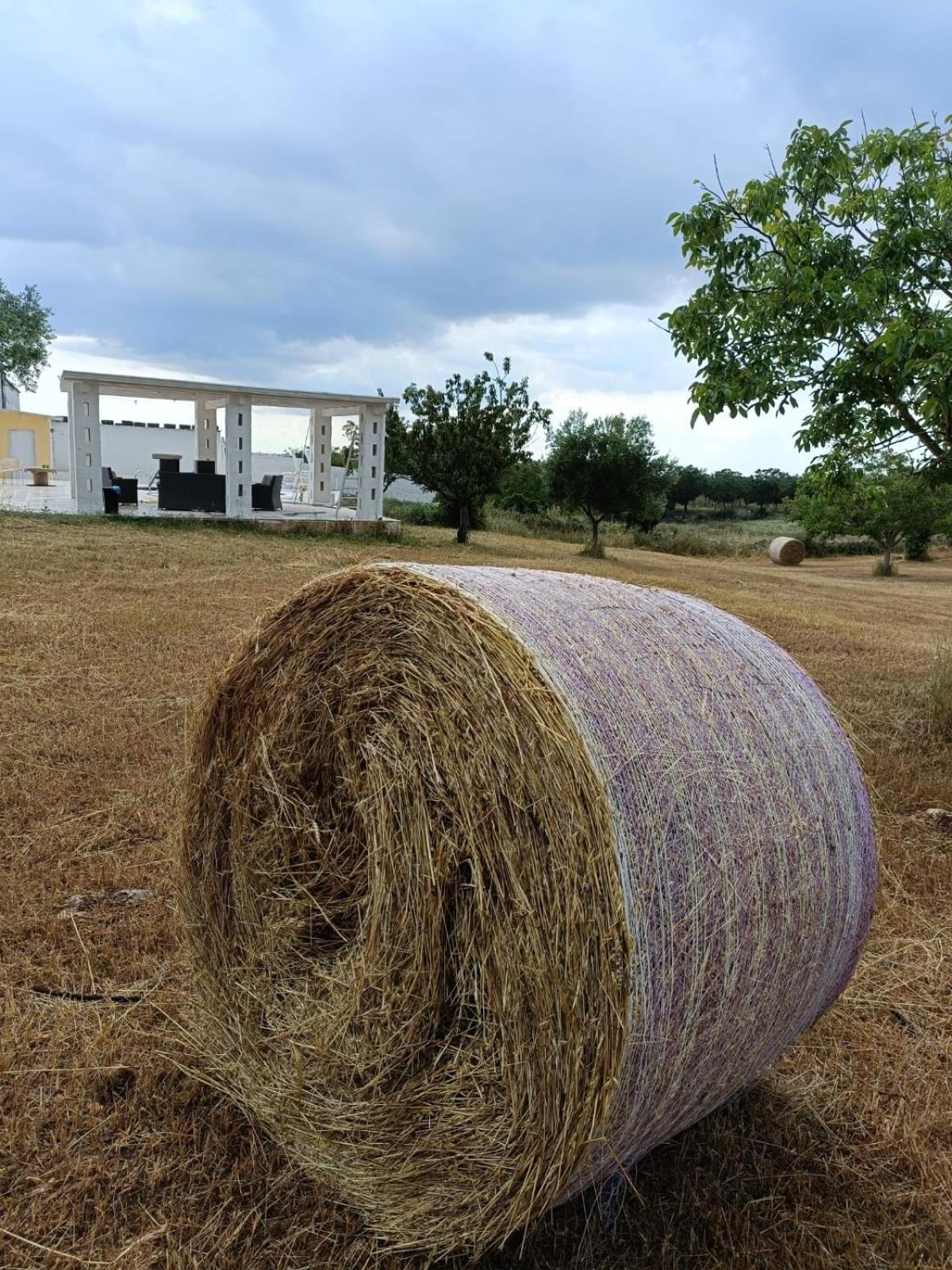Casa Loredana Putignano Εξωτερικό φωτογραφία